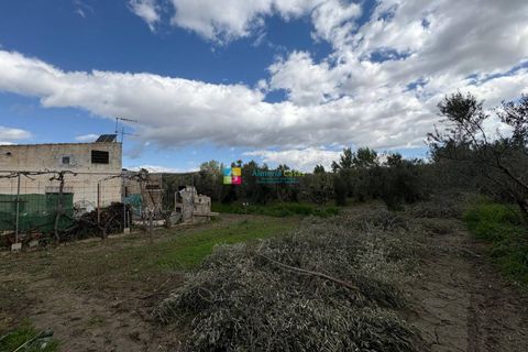 Landejendom i Seron, Almeria, Seron - € 70.000 | Ref: 2763 - foto 4