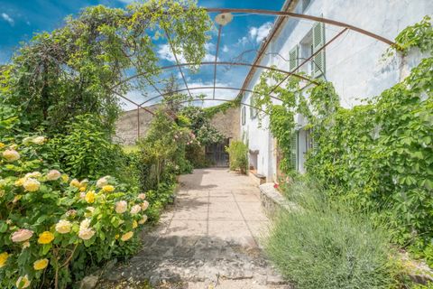 Villa a Tourrettes, Var, Tourrettes - € 1.995.000 | Ref: HH-15803026 - foto 23