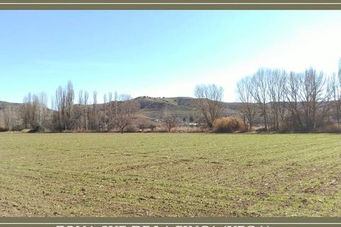 Finca in Guadahortuna, Granada - Foto 2
