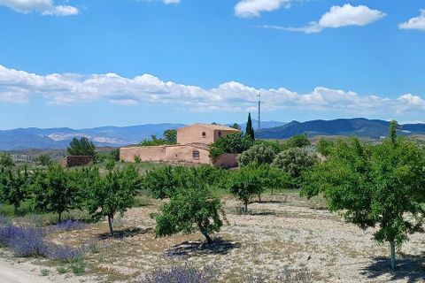 Cortijo i Oria, Almeria, Oria - € 169.000 | Ref: R22318 - foto 6