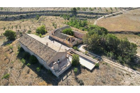 Landejendom i Monovar, Alicante, Monovar - € 250.000 | Ref: DNV0579 - foto 5
