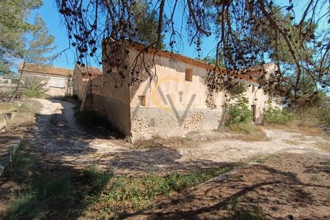 Landejendom i Monovar, Alicante, Monovar - € 250.000 | Ref: DNV0579 - foto 11