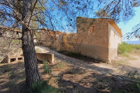 Landejendom i Monovar, Alicante, Monovar - € 250.000 | Ref: DNV0579 - foto 12