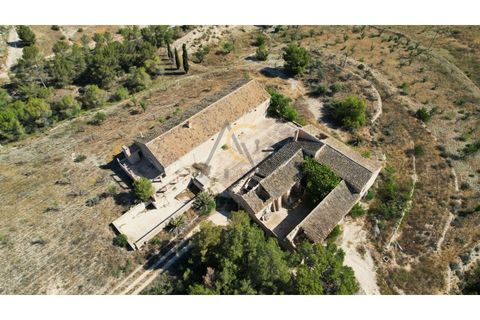 Landejendom i Monovar, Alicante, Monovar - € 250.000 | Ref: DNV0579 - foto 28
