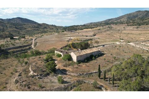 Landejendom i Monovar, Alicante, Monovar - € 250.000 | Ref: DNV0579 - foto 30