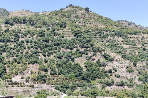 Rækkehus i Jete, Granada, Jete - € 160.000 | Ref: PSRE-TH1194 - foto 1