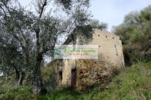 Landejendom i Perinaldo, Imperia, Perinaldo - € 40.000 | Ref: 949 - foto 1