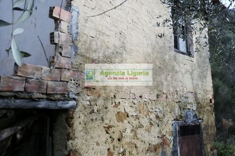 Landejendom i Perinaldo, Imperia, Perinaldo - € 40.000 | Ref: 949 - foto 3