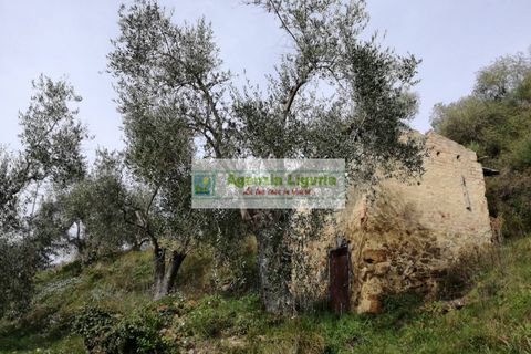 Landejendom i Perinaldo, Imperia, Perinaldo - € 40.000 | Ref: 949 - foto 8