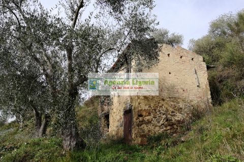 Landejendom i Perinaldo, Imperia, Perinaldo - € 40.000 | Ref: 949 - foto 11