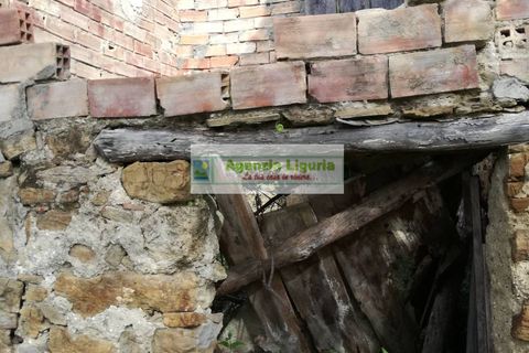 Landejendom i Perinaldo, Imperia, Perinaldo - € 40.000 | Ref: 949 - foto 12