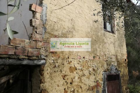 Landejendom i Perinaldo, Imperia, Perinaldo - € 40.000 | Ref: 949 - foto 13
