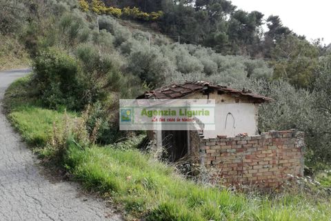 Landejendom i Perinaldo, Imperia, Perinaldo - € 40.000 | Ref: 949 - foto 14