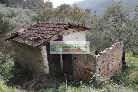 Landejendom i Perinaldo, Imperia, Perinaldo - € 40.000 | Ref: 949 - foto 15