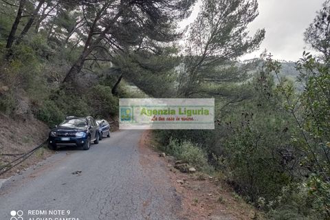 Landejendom i Perinaldo, Imperia, Perinaldo - € 50.000 | Ref: 1064 - foto 3