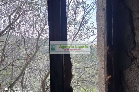 Landejendom i Perinaldo, Imperia, Perinaldo - € 50.000 | Ref: 1064 - foto 6