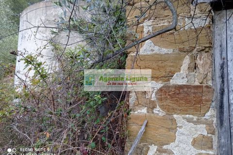 Landejendom i Perinaldo, Imperia, Perinaldo - € 50.000 | Ref: 1064 - foto 11