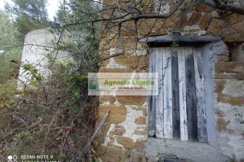 Landejendom i Perinaldo, Imperia, Perinaldo - € 50.000 | Ref: 1064 - foto 13