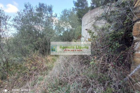 Landejendom i Perinaldo, Imperia, Perinaldo - € 50.000 | Ref: 1064 - foto 15