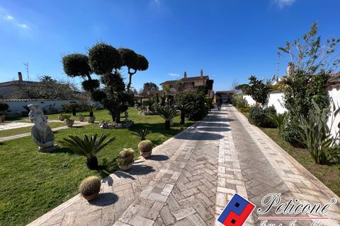 Villa a Anzio, Rome, Anzio - € 360.000 | Ref: V391 - foto 28