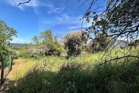 Helårsgrund i Tomar, Santarem, Tomar - € 35.000 | Ref: T 315 - foto 4