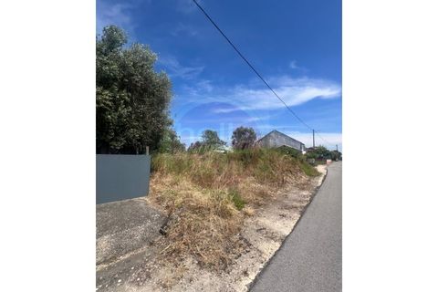 Helårsgrund i Tomar, Santarem, Tomar - € 35.000 | Ref: T 315 - foto 6