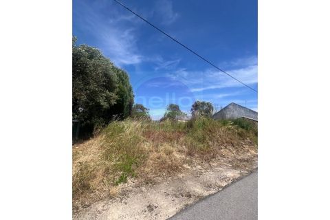Helårsgrund i Tomar, Santarem, Tomar - € 35.000 | Ref: T 315 - foto 7