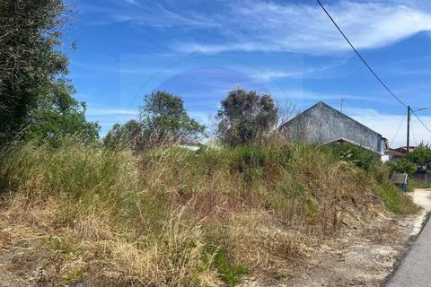 Helårsgrund i Tomar, Santarem, Tomar - € 35.000 | Ref: T 315 - foto 8