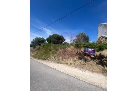 Helårsgrund i Tomar, Santarem, Tomar - € 35.000 | Ref: T 315 - foto 9