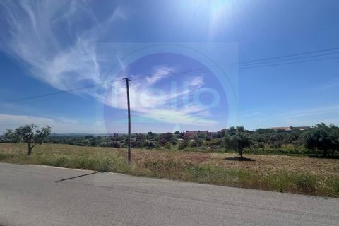 Helårsgrund i Tomar, Santarem, Tomar - € 35.000 | Ref: T 315 - foto 10