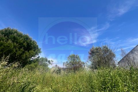 Helårsgrund i Tomar, Santarem, Tomar - € 35.000 | Ref: T 315 - foto 11
