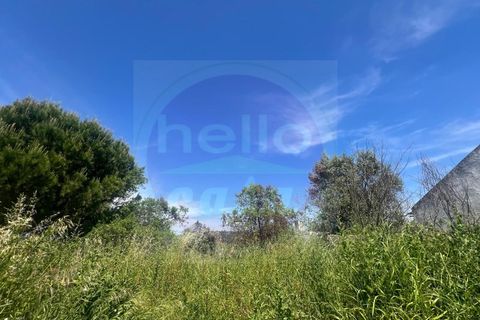 Helårsgrund i Tomar, Santarem, Tomar - € 35.000 | Ref: T 315 - foto 12