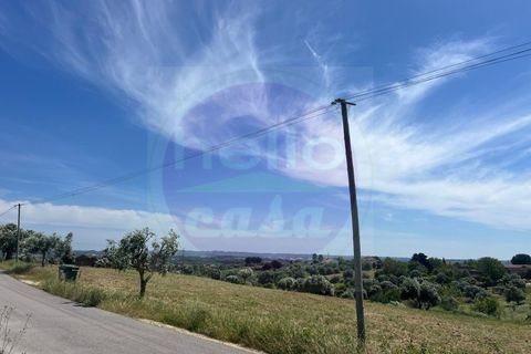 Helårsgrund i Tomar, Santarem, Tomar - € 35.000 | Ref: T 315 - foto 13