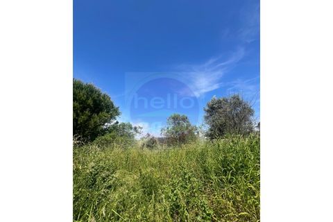 Helårsgrund i Tomar, Santarem, Tomar - € 35.000 | Ref: T 315 - foto 15