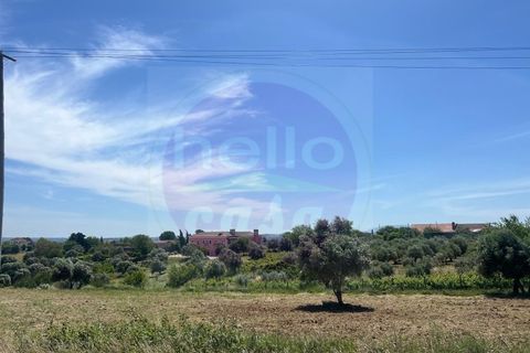 Helårsgrund i Tomar, Santarem, Tomar - € 35.000 | Ref: T 315 - foto 17