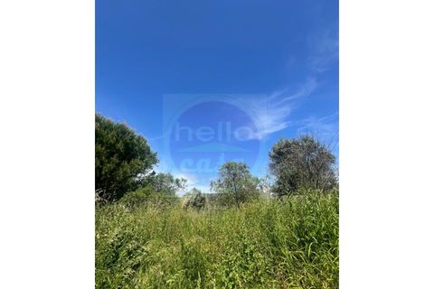 Helårsgrund i Tomar, Santarem, Tomar - € 35.000 | Ref: T 315 - foto 18