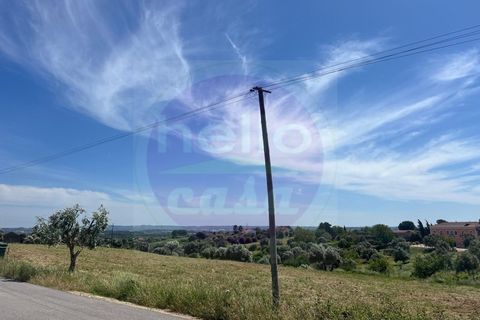 Helårsgrund i Tomar, Santarem, Tomar - € 35.000 | Ref: T 315 - foto 19