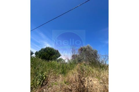 Helårsgrund i Tomar, Santarem, Tomar - € 35.000 | Ref: T 315 - foto 20
