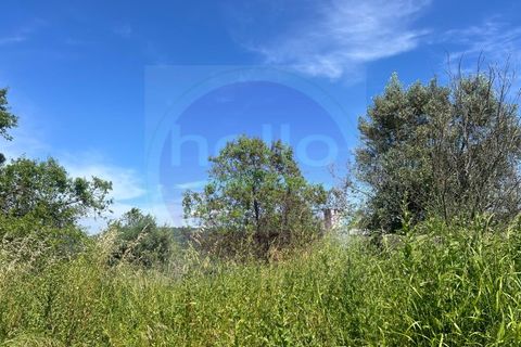 Helårsgrund i Tomar, Santarem, Tomar - € 35.000 | Ref: T 315 - foto 21