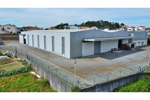 L'establiment comercial a Amarante, Porto, Amarante - € 4.000/mes | Ref: RO2575 - foto 13