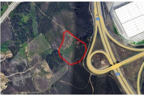 Helårsgrund i Valongo, Porto, Valongo - € 380.000 | Ref: RO2572 - foto 13