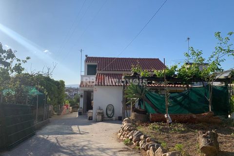Villa a Riachos, Santarem, Riachos - € 314.000 | Ref: 01534-25 - foto 2