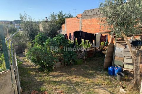 Villa a Riachos, Santarem, Riachos - € 314.000 | Ref: 01534-25 - foto 4