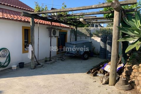 Villa a Riachos, Santarem, Riachos - € 314.000 | Ref: 01534-25 - foto 16