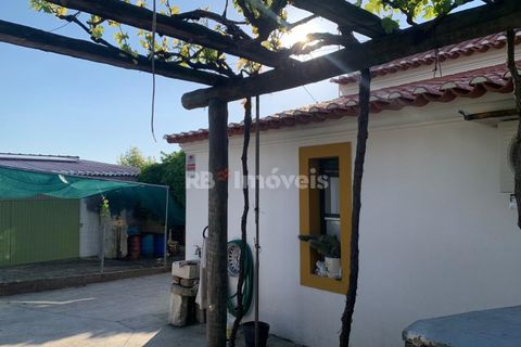 Villa a Riachos, Santarem, Riachos - € 314.000 | Ref: 01534-25 - foto 17
