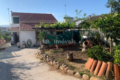Villa a Riachos, Santarem, Riachos - € 314.000 | Ref: 01534-25 - foto 18