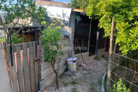 Villa a Riachos, Santarem, Riachos - € 314.000 | Ref: 01534-25 - foto 23