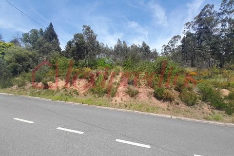 Helårsgrund i Agueda, Aveiro, Agueda - € 75.000 | Ref: AG 4265 - foto 1