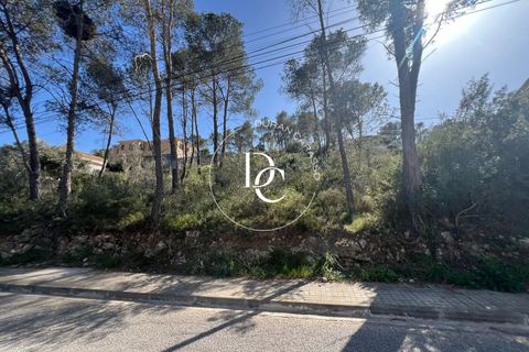 Terra a Olivella, Barcelona, Olivella - € 65.000 | Ref: 6036 - foto 2
