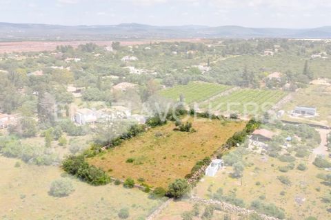 Terra a Tunes, Faro, Tunes - € 198.000 | Ref: W-02ZQKH - foto 2